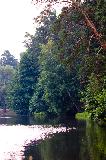 IMG_3505.jpg