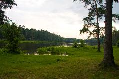 IMG_3513.jpg