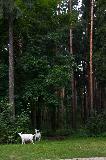 IMG_3525.jpg