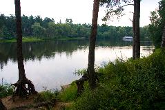 IMG_3532.jpg