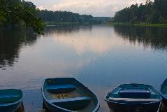 IMG_3535.jpg