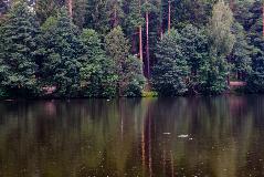 IMG_3545.jpg