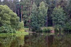 IMG_3567.jpg