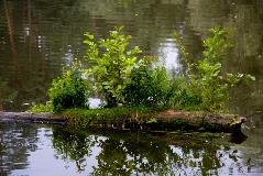 IMG_3576.jpg