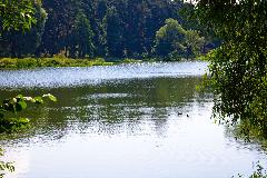 _MG_7225.jpg