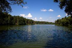 _MG_7229.jpg