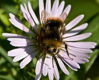 IMG_1127.jpg