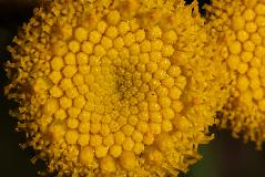 IMG_1279.jpg