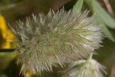 IMG_1288.jpg