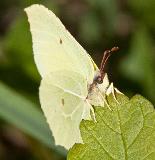 IMG_1314.jpg