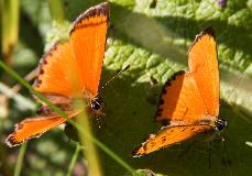 IMG_1323.jpg