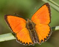 IMG_1341.jpg