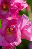 IMG_4116.jpg
