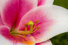 IMG_4125.jpg
