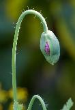 IMG_4126.jpg
