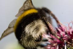 IMG_1566.jpg