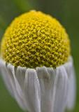 IMG_1574.jpg
