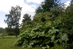 IMG_1577.jpg