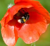 IMG_1580.jpg