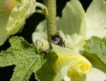 IMG_1590.jpg