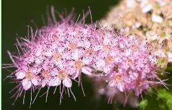 IMG_1602.jpg