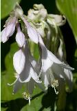 IMG_1612.jpg