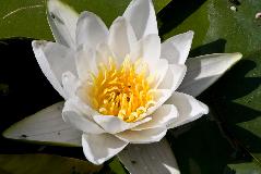 IMG_1620.jpg
