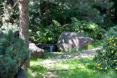 IMG_1661.jpg
