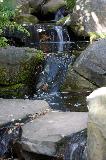 IMG_1667.jpg