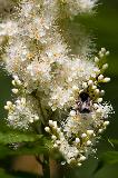 IMG_1673.jpg