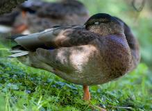 IMG_1682.jpg