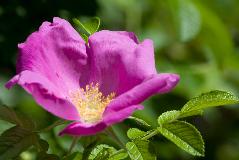 IMG_1706.jpg