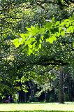 IMG_1711.jpg