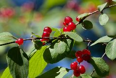 IMG_1718.jpg