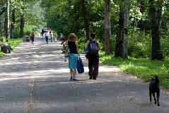 IMG_1720.jpg