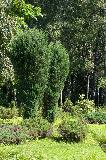 IMG_1725.jpg