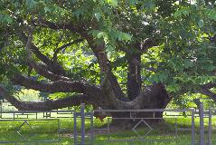 IMG_1743.jpg