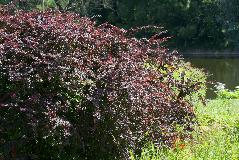 IMG_1748.jpg
