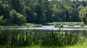 IMG_1749.jpg