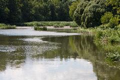 IMG_1751.jpg