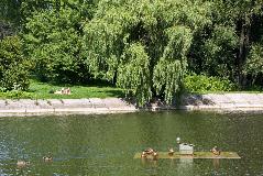 IMG_1786.jpg