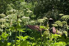 IMG_1795.jpg
