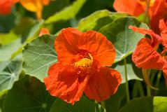 IMG_1803.jpg