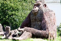 IMG_1807.jpg