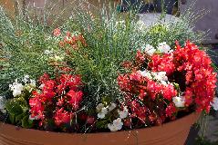IMG_1809.jpg