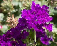 IMG_1815.jpg