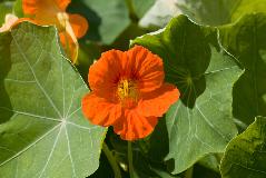 IMG_1817.jpg