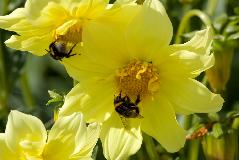 IMG_1828.jpg