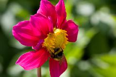 IMG_1830.jpg