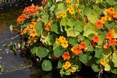 IMG_1833.jpg
